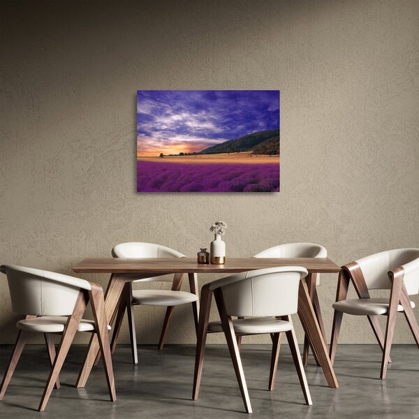 Skleněný obraz levandulové louky (70x50 cm)
