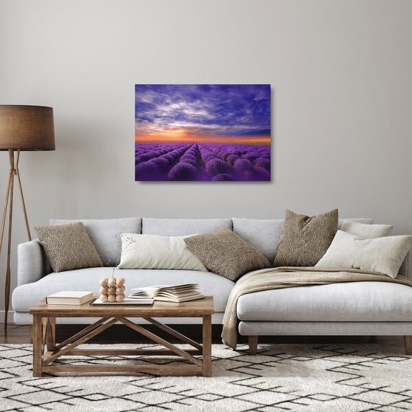 Skleněný obraz levandulového pole (70x50 cm)