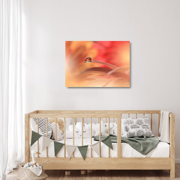 Skleněný obraz květinové kapky rosy (70x50 cm)