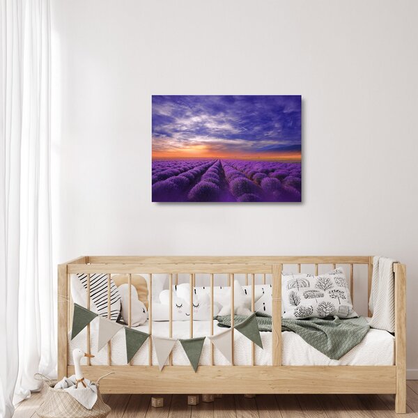 Skleněný obraz levandulového pole (70x50 cm)