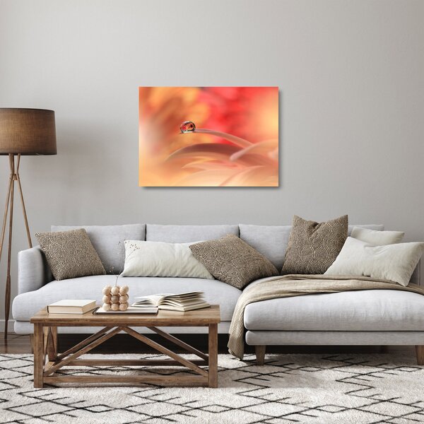 Skleněný obraz květinové kapky rosy (70x50 cm)