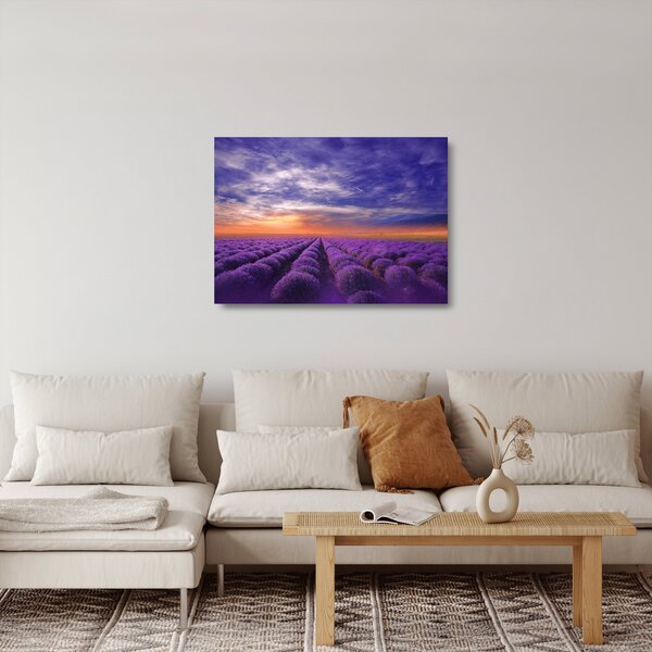 Skleněný obraz levandulového pole (70x50 cm)