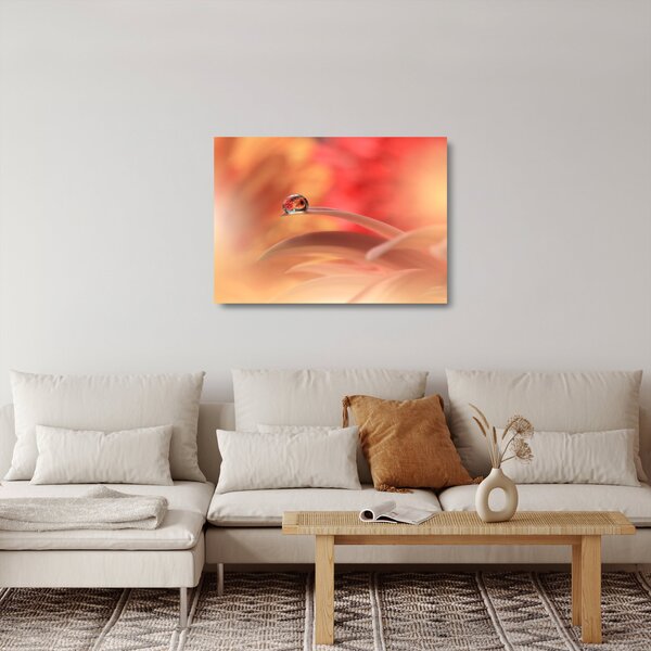 Skleněný obraz květinové kapky rosy (70x50 cm)