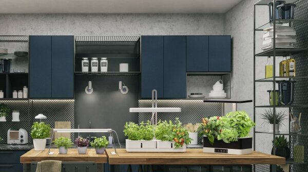 Ledvance - LED Stmívatelná interiérová lampa na rostliny GARDEN KIT LED/24W/230V