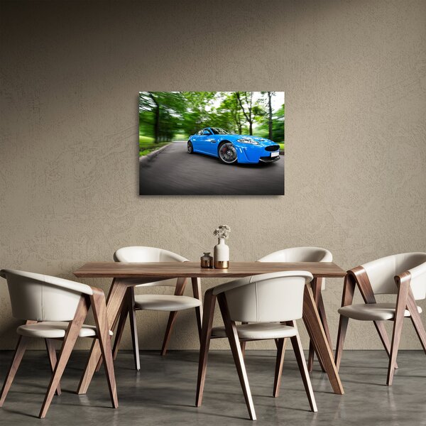 Skleněný obraz - Závodní auto (70x50 cm)