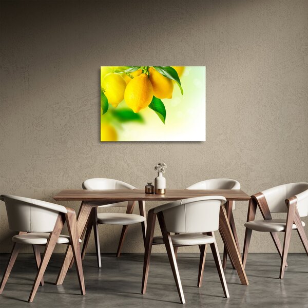 Skleněný obraz citrónů (70x50 cm)