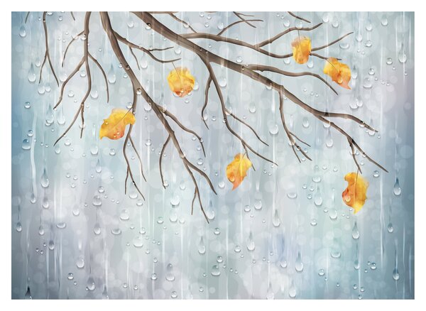 Skleněný obraz - Deštivý podzim (70x50 cm)