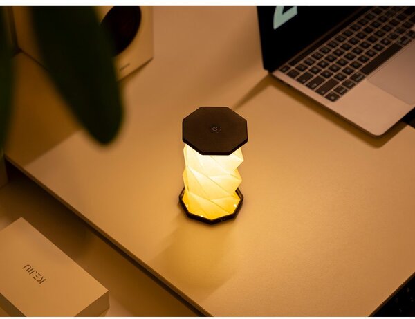 Bílá/černá přenosná světelná dekorace na USB ø 8 cm Twist – Gingko