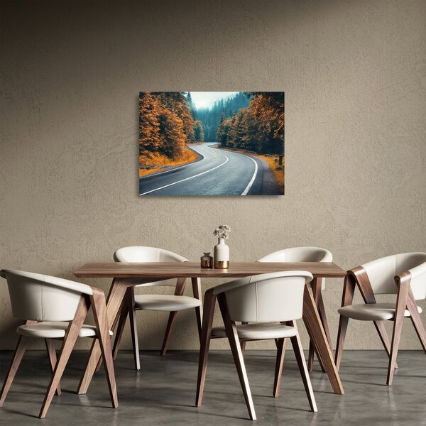 Skleněný obraz - Klikatící se silnice (70x50 cm)