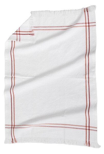 Bavlněné utěrky v sadě 3 ks 50x70 cm Cavendish – Tiseco Home Studio