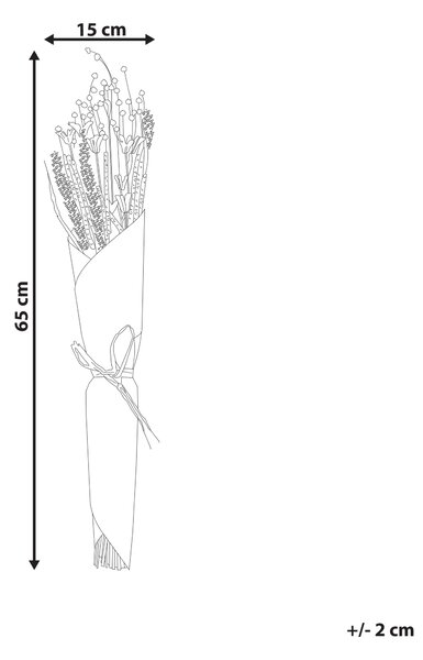 Kytice sušených květin PAMPELUNA 65 cm Přírodní