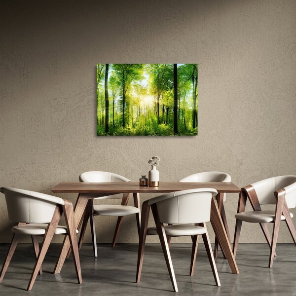 Skleněný obraz - Svítání v lese (70x50 cm)