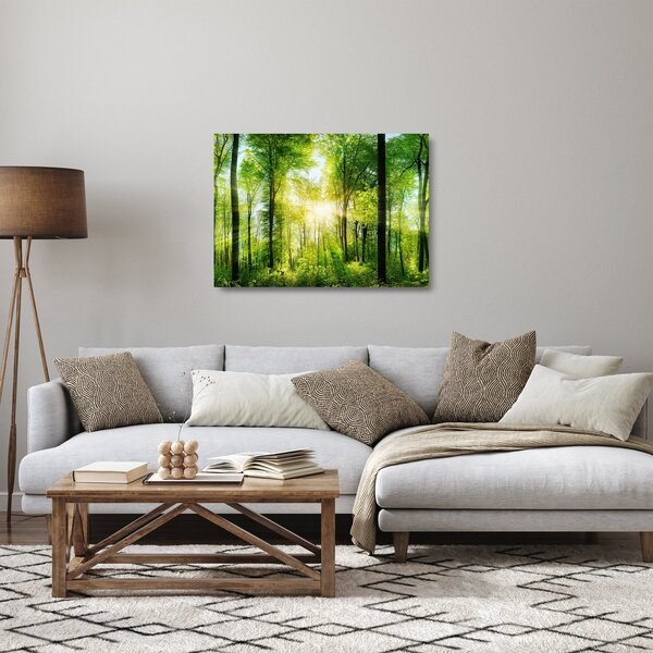 Skleněný obraz - Svítání v lese (70x50 cm)