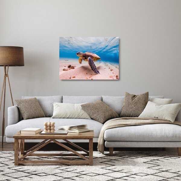 Skleněný obraz želvy v oceánu (70x50 cm)