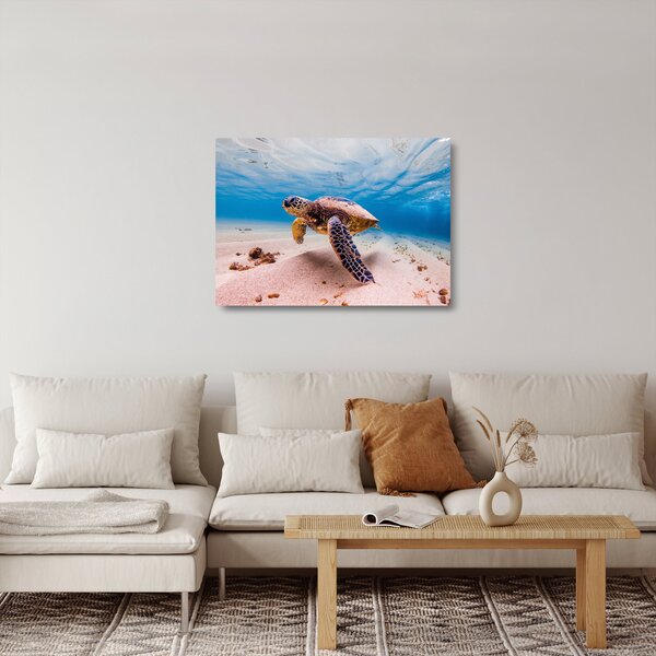 Skleněný obraz želvy v oceánu (70x50 cm)