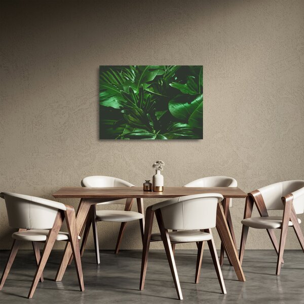 Skleněný obraz - Palmové listy (70x50 cm)