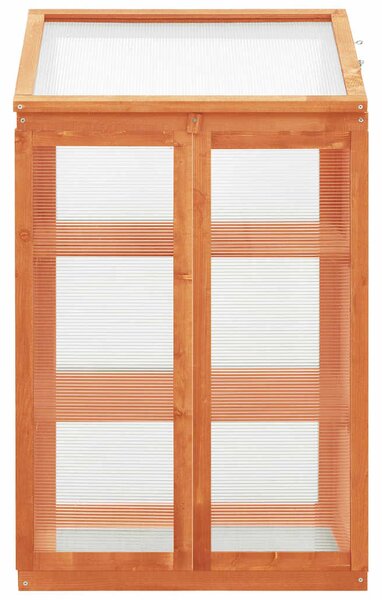 Skleník 60 x 45 x 100 cm jedlové dřevo 314848