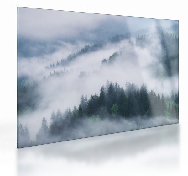 Skleněný obraz - Stromy v mlze (70x50 cm)