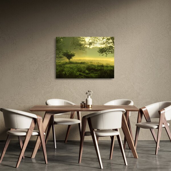 Skleněný obraz - Probouzející se les (70x50 cm)