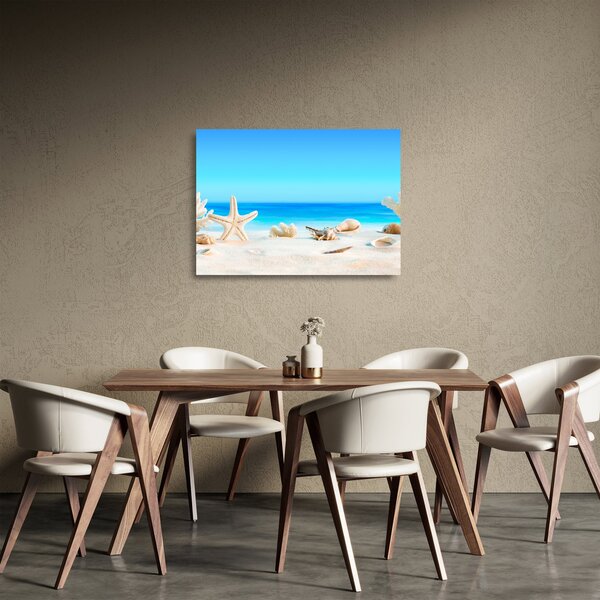 Skleněný obraz - Zátiší s mušlemi (70x50 cm)