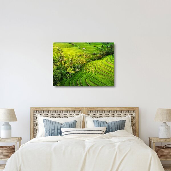 Skleněný obraz - Rýžové terasy (70x50 cm)