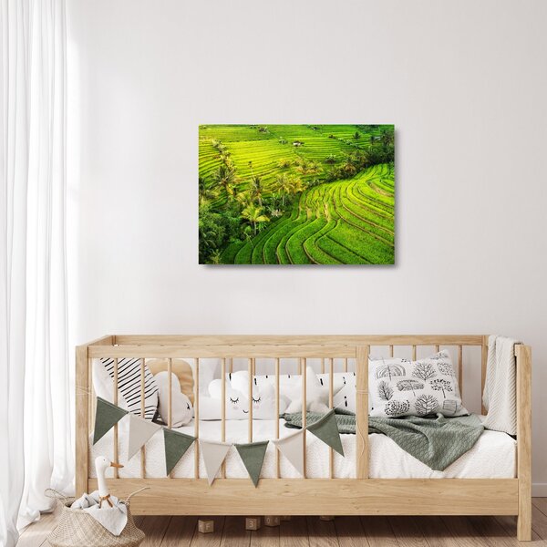 Skleněný obraz - Rýžové terasy (70x50 cm)