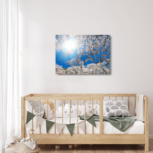 Skleněný obraz - Třešňové květy (70x50 cm)