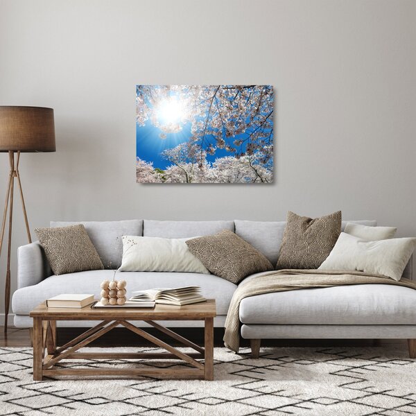 Skleněný obraz - Třešňové květy (70x50 cm)