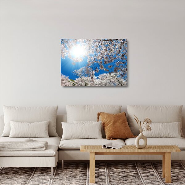 Skleněný obraz - Třešňové květy (70x50 cm)
