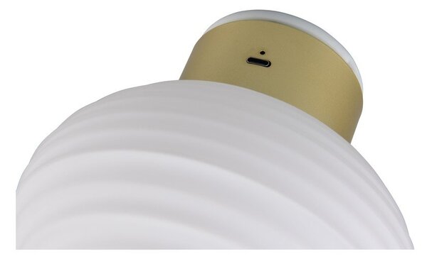 Bílé skleněné LED nástěnné svítidlo na USB ø 15,5 cm Earl – Reality