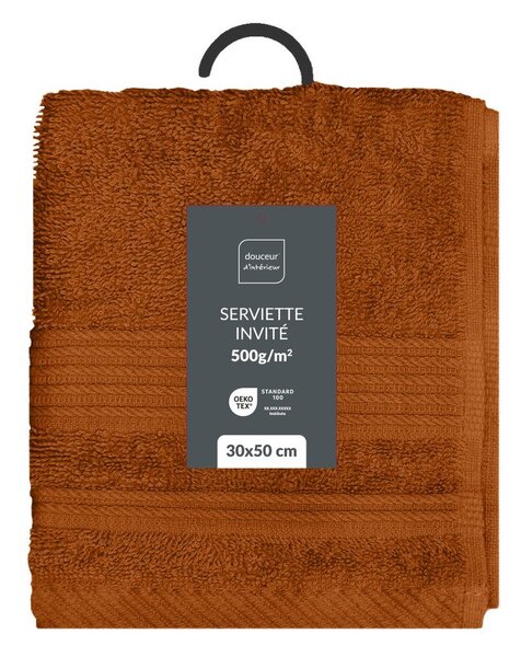 Froté bavlněný ručník v terakotové barvě 30x50 cm Tendresse – douceur d'intérieur