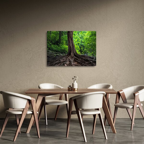 Skleněný obraz - Starý strom s kořeny (70x50 cm)