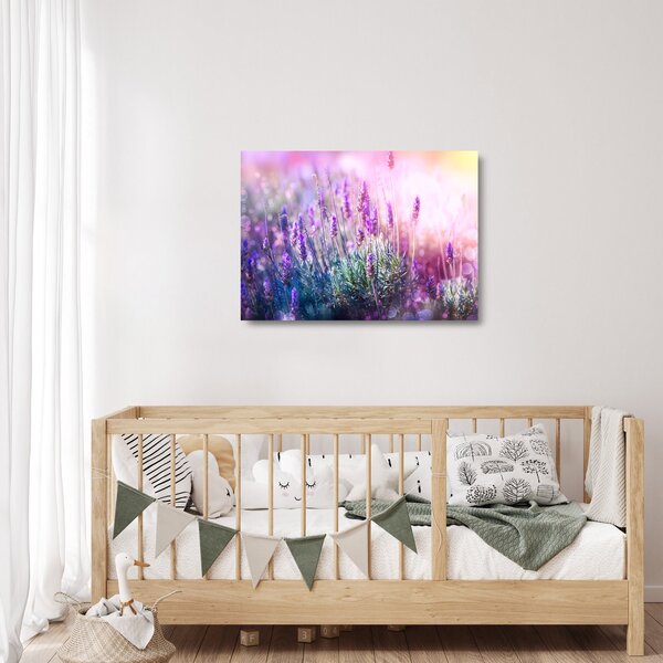 Skleněný obraz - Levandule ve třpytu slunce (70x50 cm)