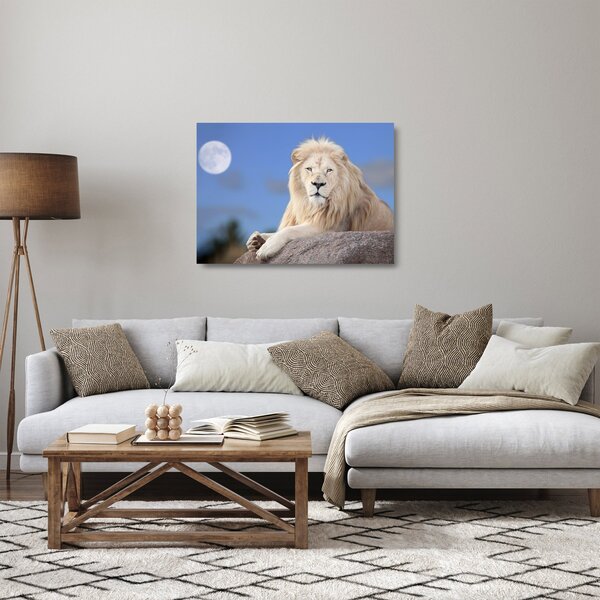Skleněný obraz - Bílý lev (70x50 cm)