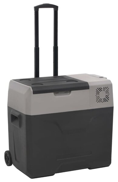 Chladicí box s kolečky a adaptérem černý a šedý 30 l PP 3154635