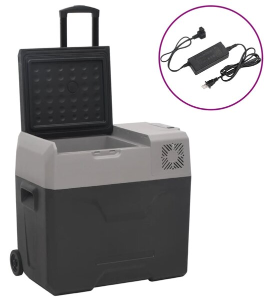 Chladicí box s kolečky a adaptérem černý a šedý 30 l PP 3154635