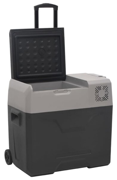 Chladicí box s kolečky a adaptérem černý a šedý 30 l PP 3154635