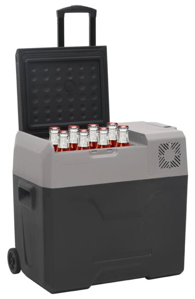 Chladicí box s kolečky a adaptérem černý a šedý 30 l PP 3154635