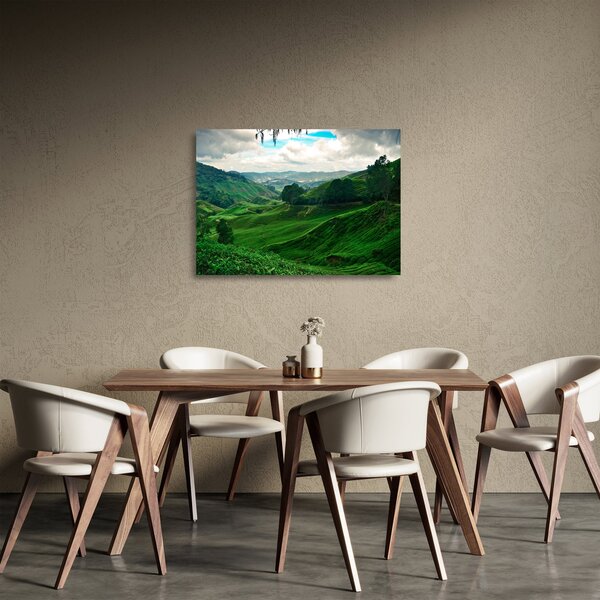 Skleněný obraz - Čajové plantáže v Malajsii (70x50 cm)