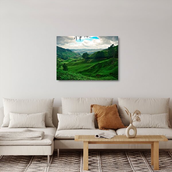 Skleněný obraz - Čajové plantáže v Malajsii (70x50 cm)