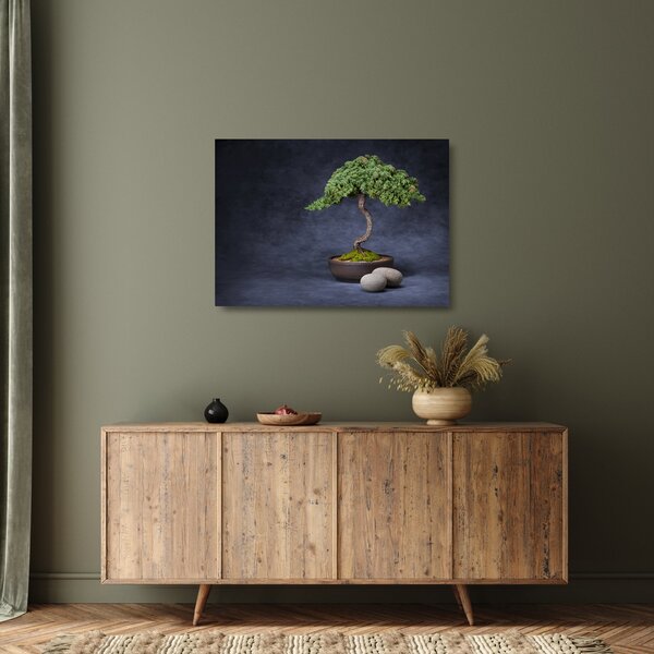 Skleněný obraz - Bonsai (70x50 cm)
