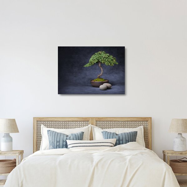 Skleněný obraz - Bonsai (70x50 cm)