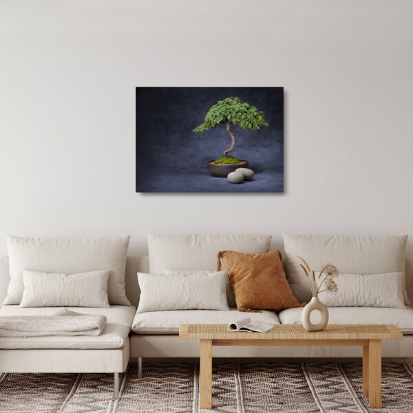 Skleněný obraz - Bonsai (70x50 cm)