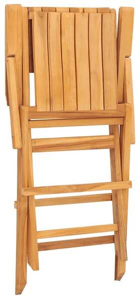 Skládací židle 6 ks 55x61x90 cm masivní teak 3155062
