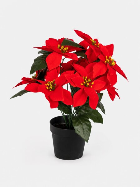 Sinsay - DECORATIVE PLANT - vícebarevná