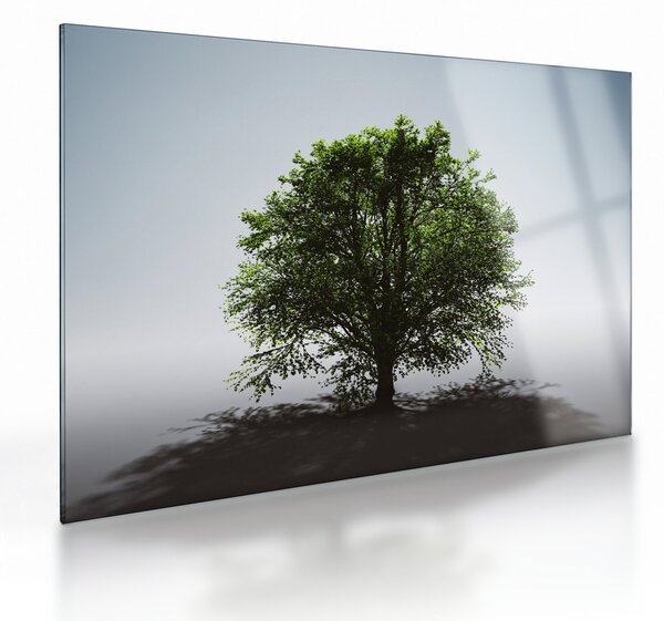 Skleněný obraz - Osamocený strom (70x50 cm)