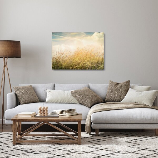 Skleněný obraz - Pole na podzim (70x50 cm)