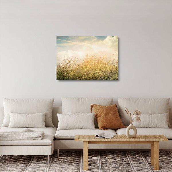 Skleněný obraz - Pole na podzim (70x50 cm)
