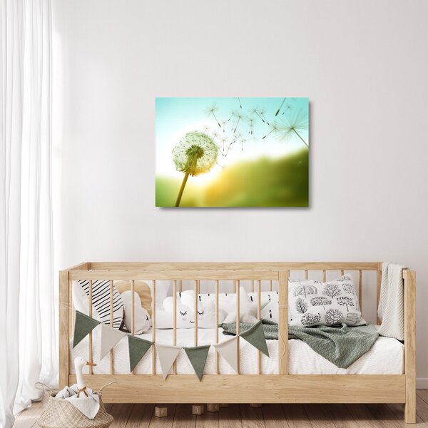 Skleněný obraz - Pampeliška ve větru (70x50 cm)