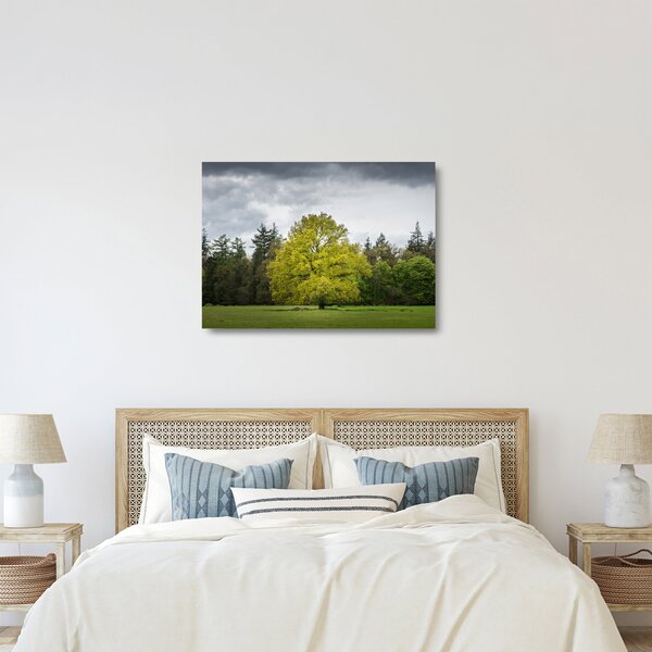 Skleněný obraz zeleného stromu uprostřed pole (70x50 cm)